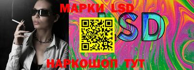 мдпв Камышлов
